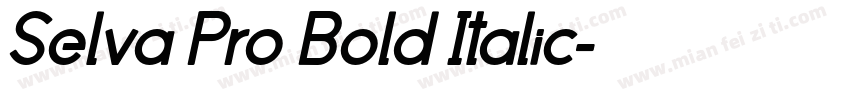 Selva Pro Bold Italic字体转换